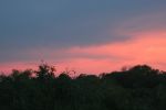 safrica_dec_13_image111.jpg